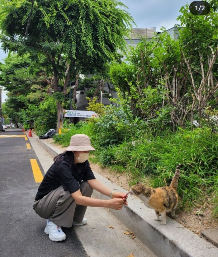 활동 뜸한 여배우 수애 근황 ㄷㄷ