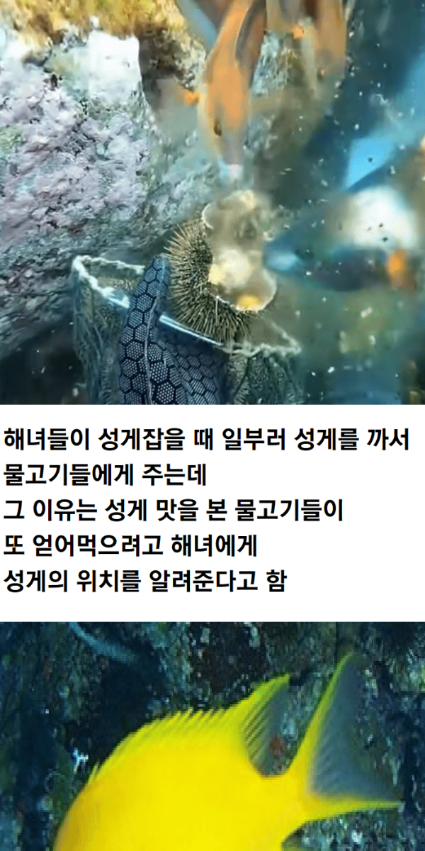 2826b3920a52de37df7fbec7116446b5_1744512524_5376.png