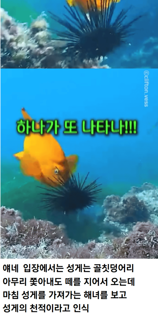 2826b3920a52de37df7fbec7116446b5_1744512529_2381.png