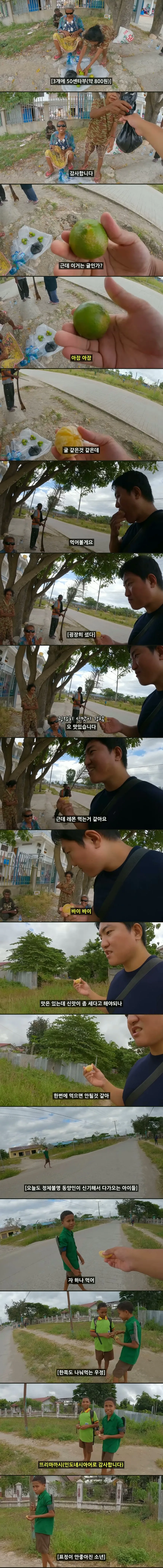과일 1.jpg 동티모르 어린이들을 건강하게 만들어준 한국인.jpg