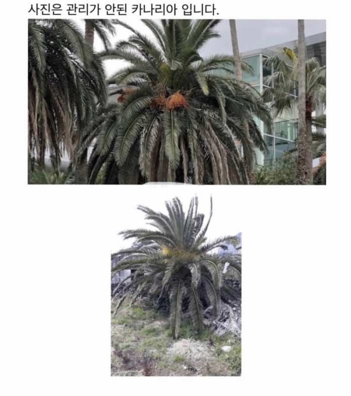 9572604546082d2346dbaa92c097962e_1787756500_6099.jpeg