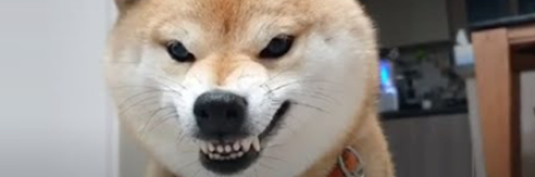 11fdb83d60c2f72c798739ad415372a5_1788925658_7744.png